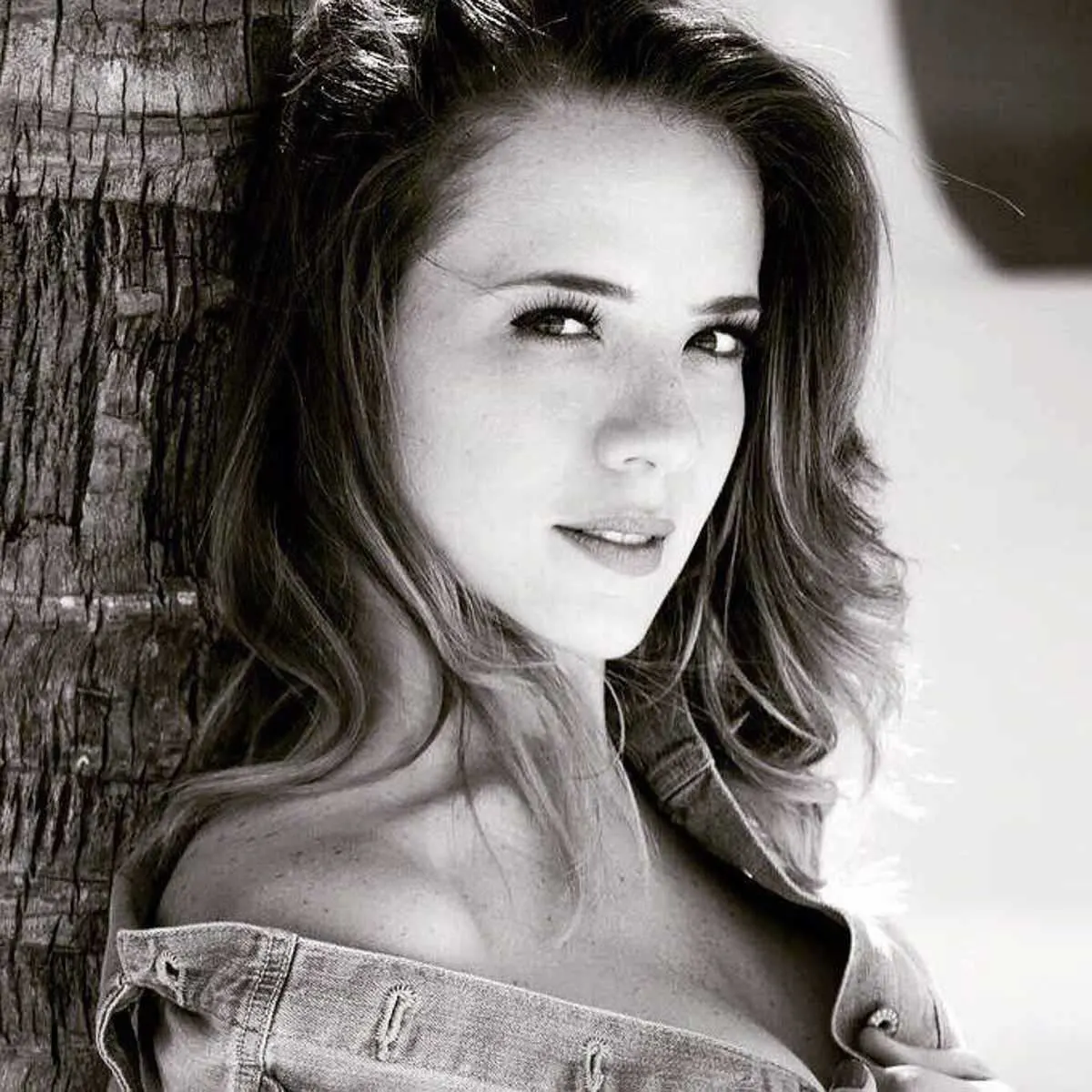 Portfolio Ivannia  T.