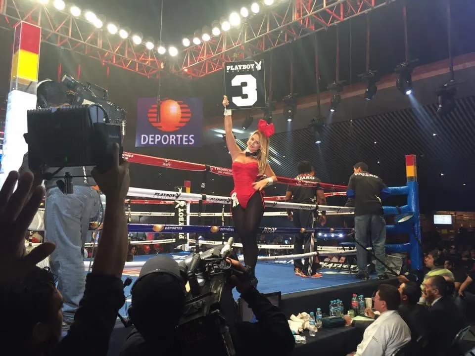 Portfolio Jamila  W.